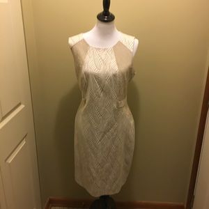 Dana Buchman Cream & Tan Sheath. $$ LOWERED!!